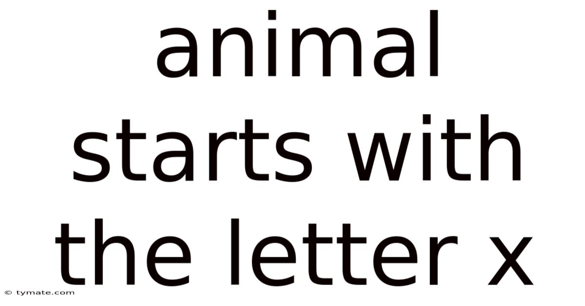 Animal Starts With The Letter X