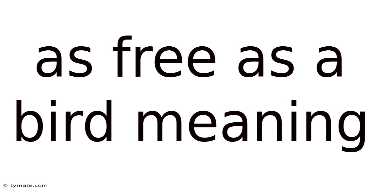 As Free As A Bird Meaning