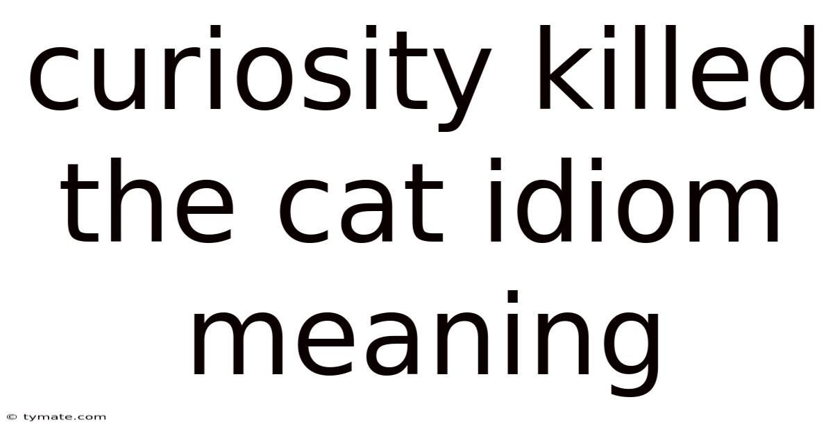 Curiosity Killed The Cat Idiom Meaning