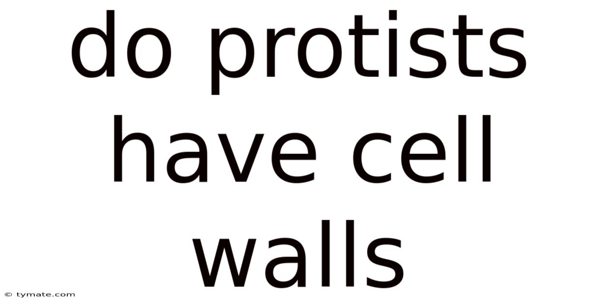 Do Protists Have Cell Walls