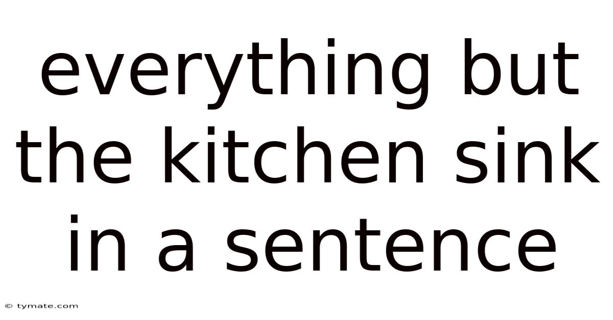 Everything But The Kitchen Sink In A Sentence