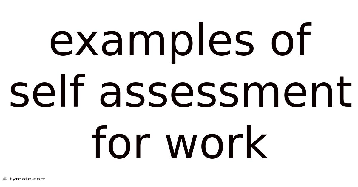 Examples Of Self Assessment For Work