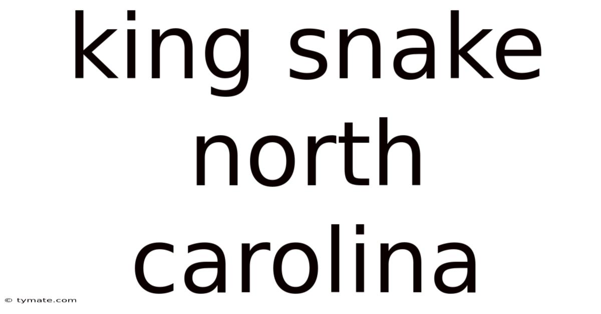King Snake North Carolina