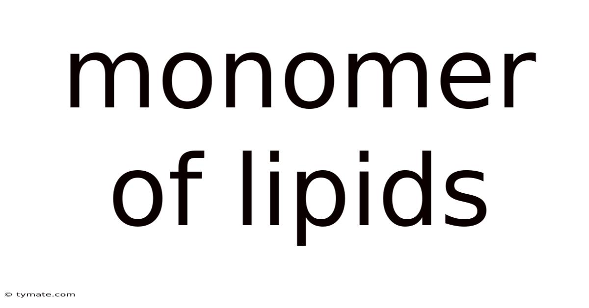 Monomer Of Lipids