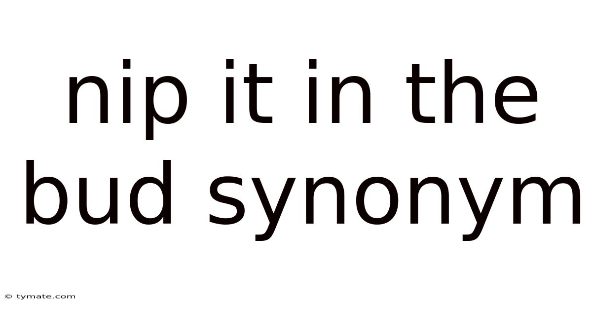Nip It In The Bud Synonym