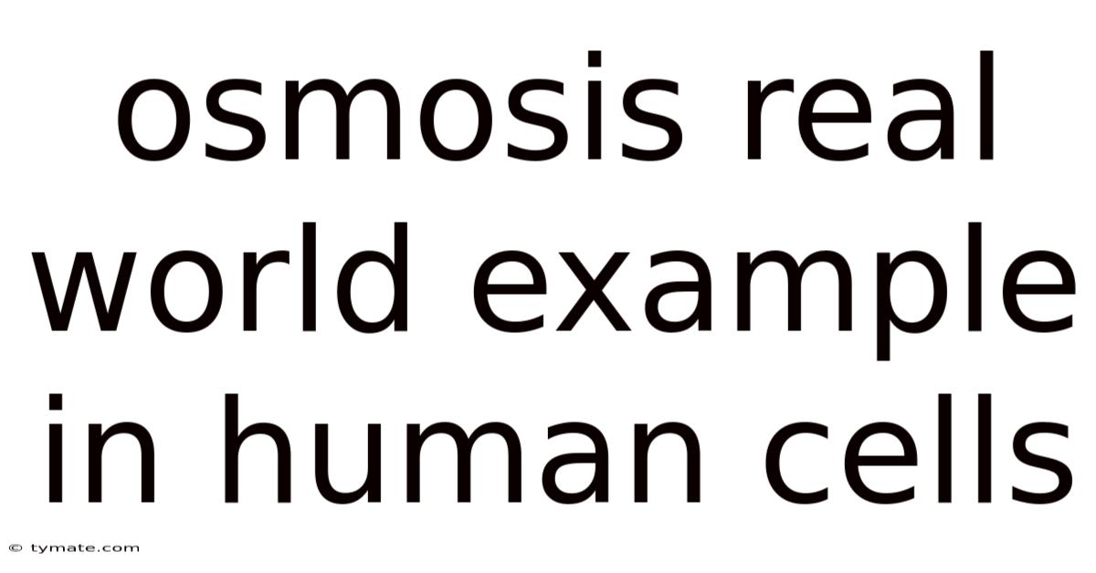Osmosis Real World Example In Human Cells