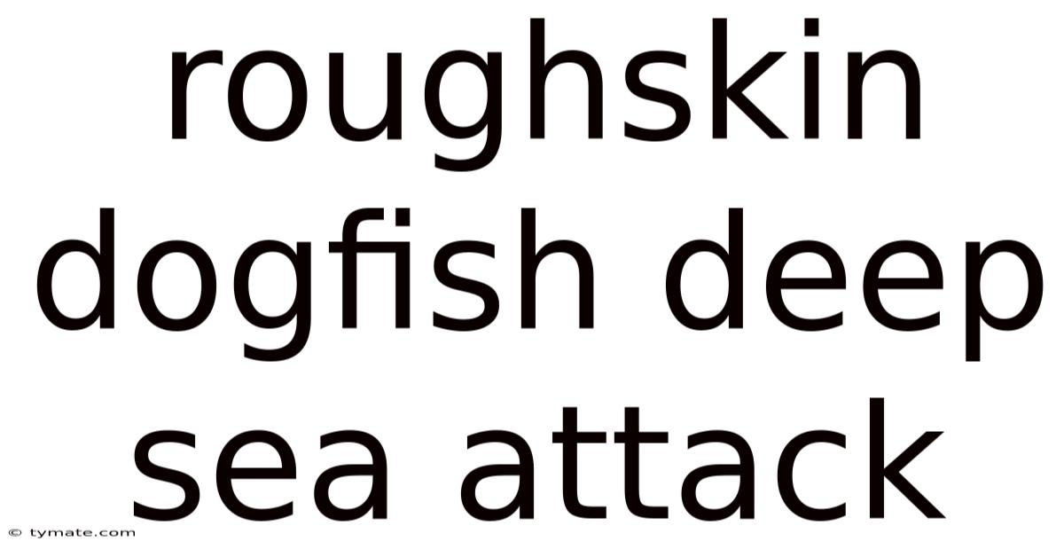 Roughskin Dogfish Deep Sea Attack