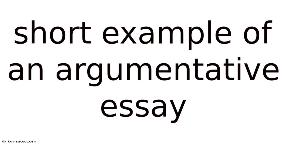 Short Example Of An Argumentative Essay