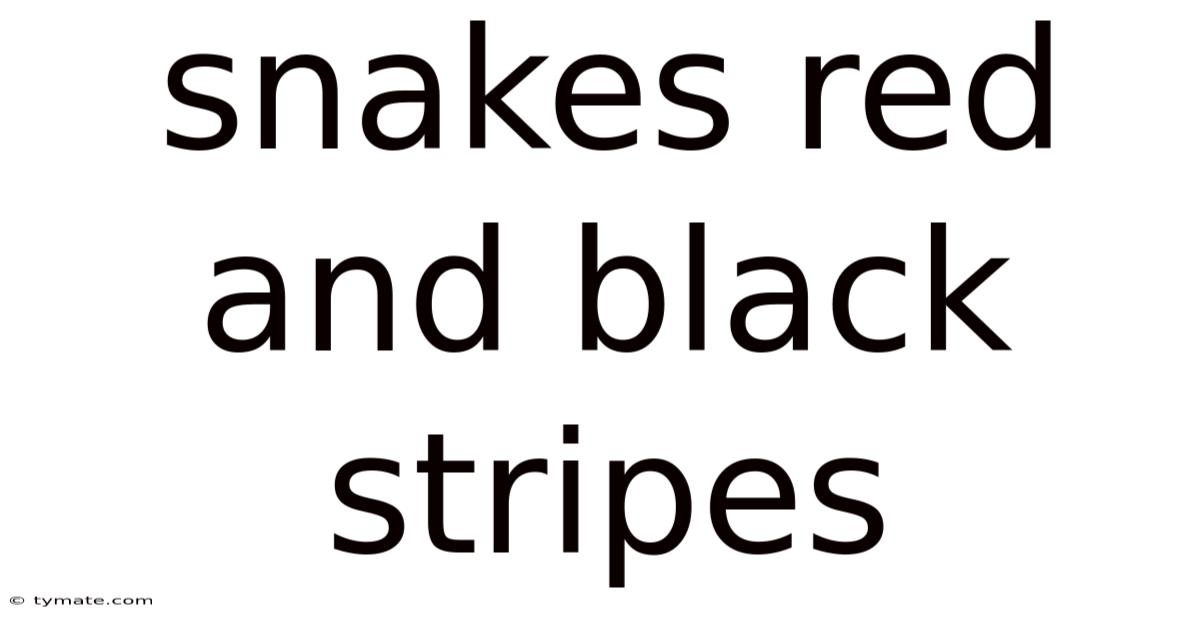 Snakes Red And Black Stripes