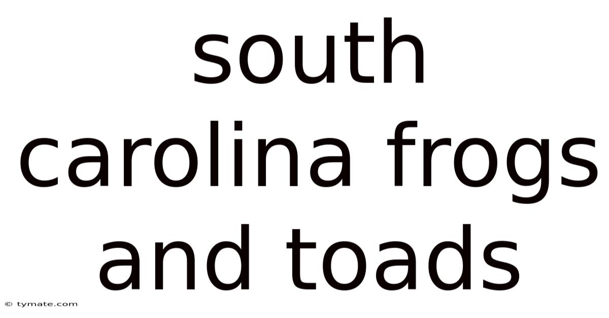 South Carolina Frogs And Toads