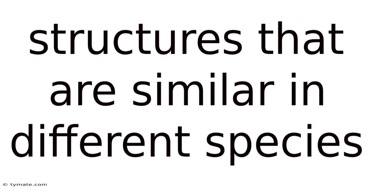 Structures That Are Similar In Different Species