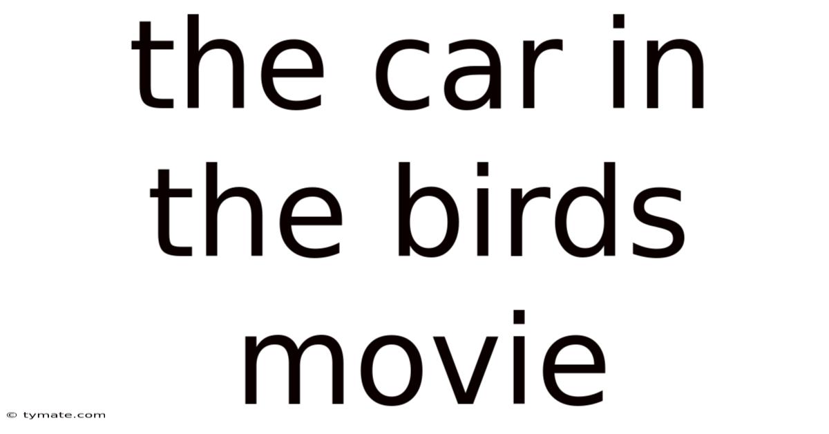 The Car In The Birds Movie