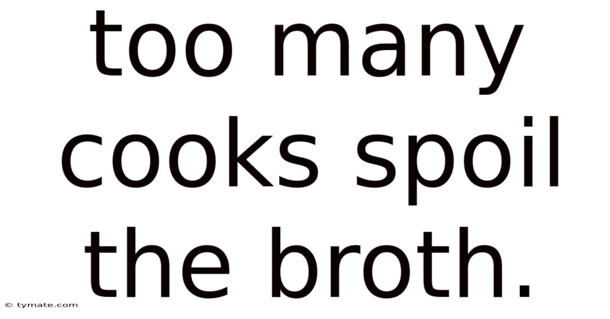 Too Many Cooks Spoil The Broth.