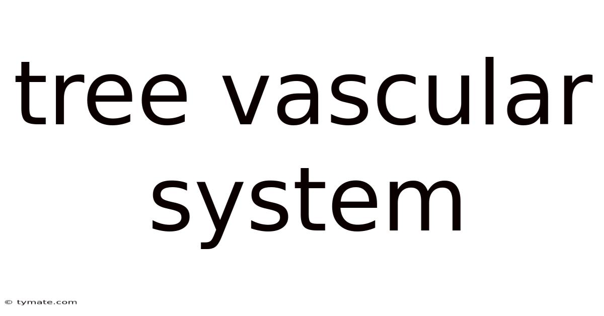 Tree Vascular System