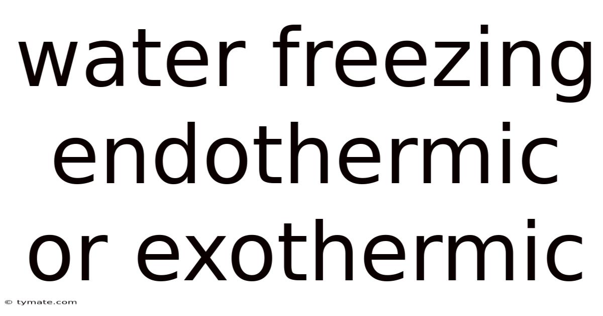 Water Freezing Endothermic Or Exothermic