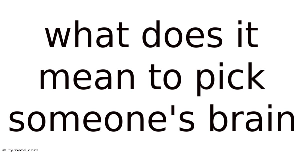 What Does It Mean To Pick Someone's Brain