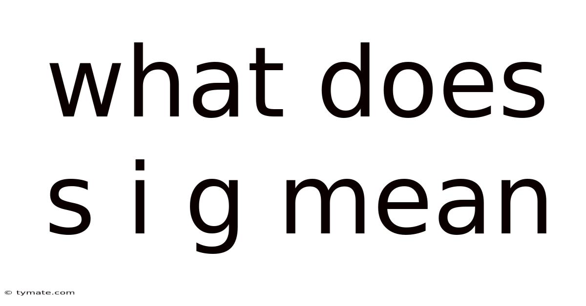 What Does S I G Mean