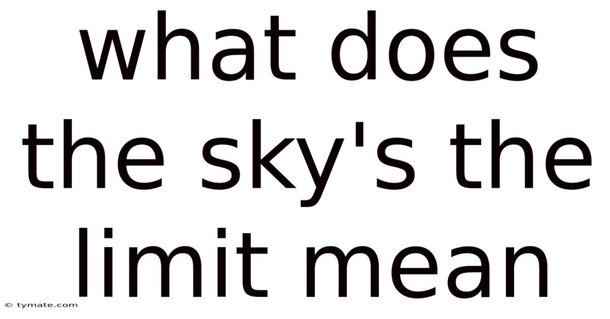 What Does The Sky's The Limit Mean