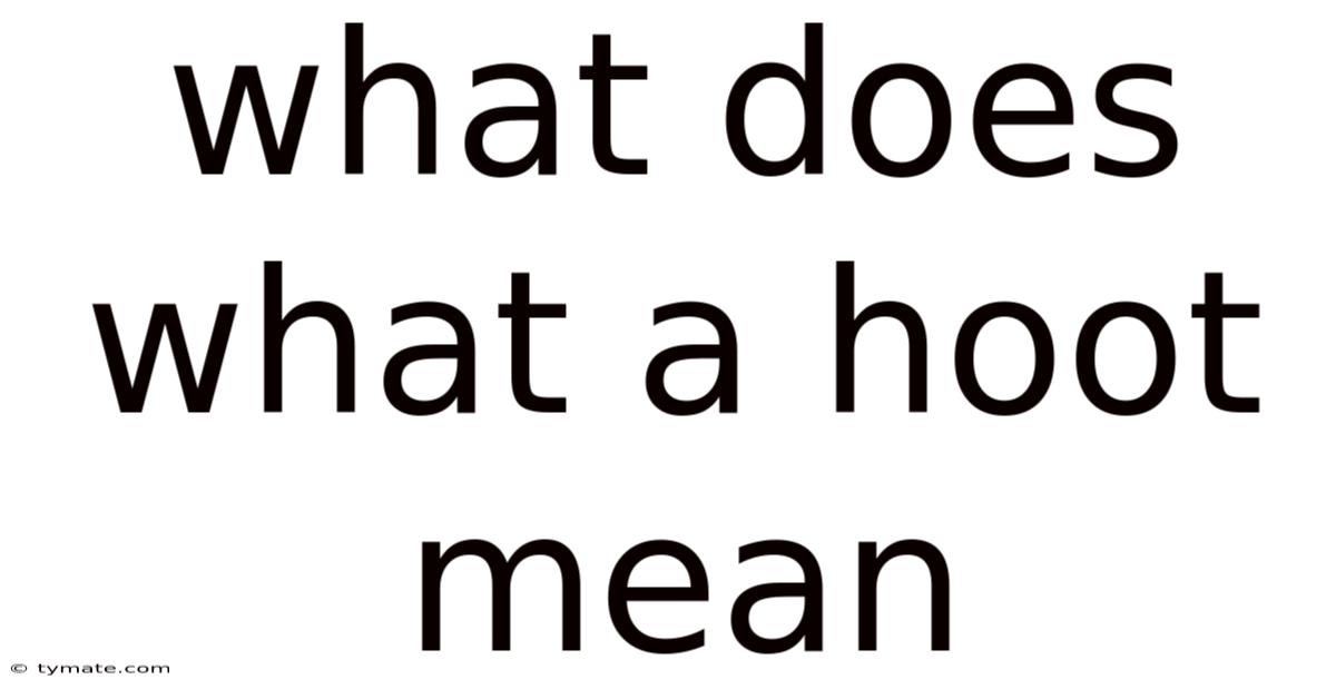 What Does What A Hoot Mean