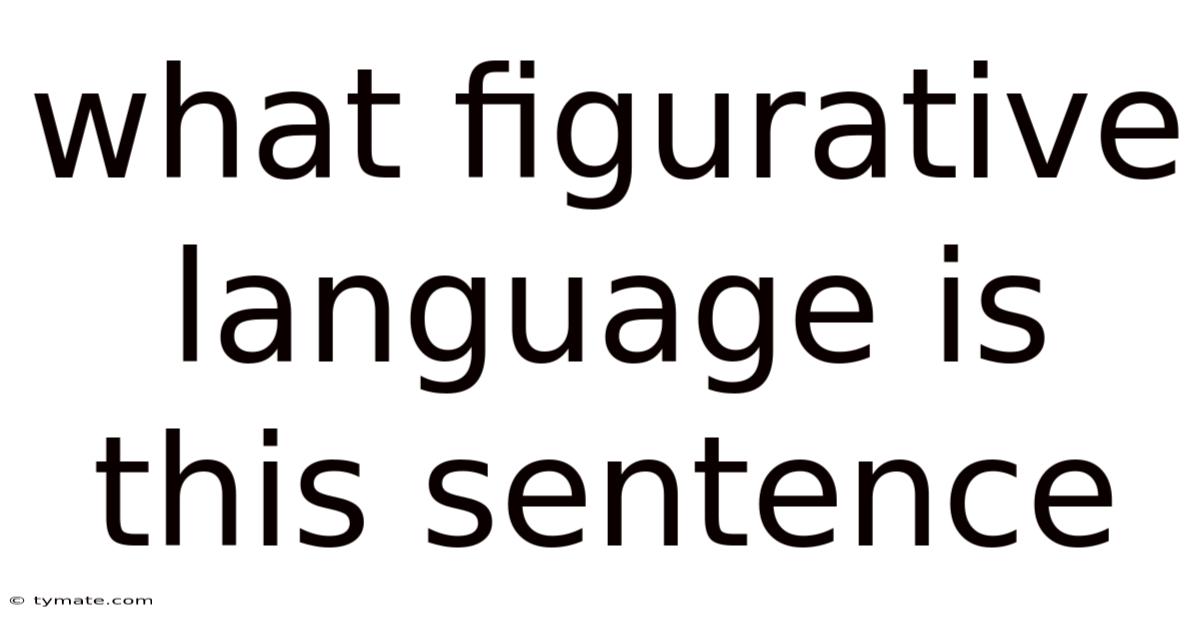 What Figurative Language Is This Sentence