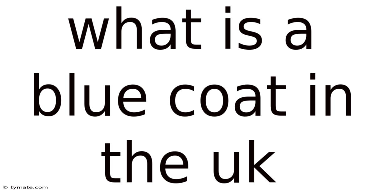 What Is A Blue Coat In The Uk