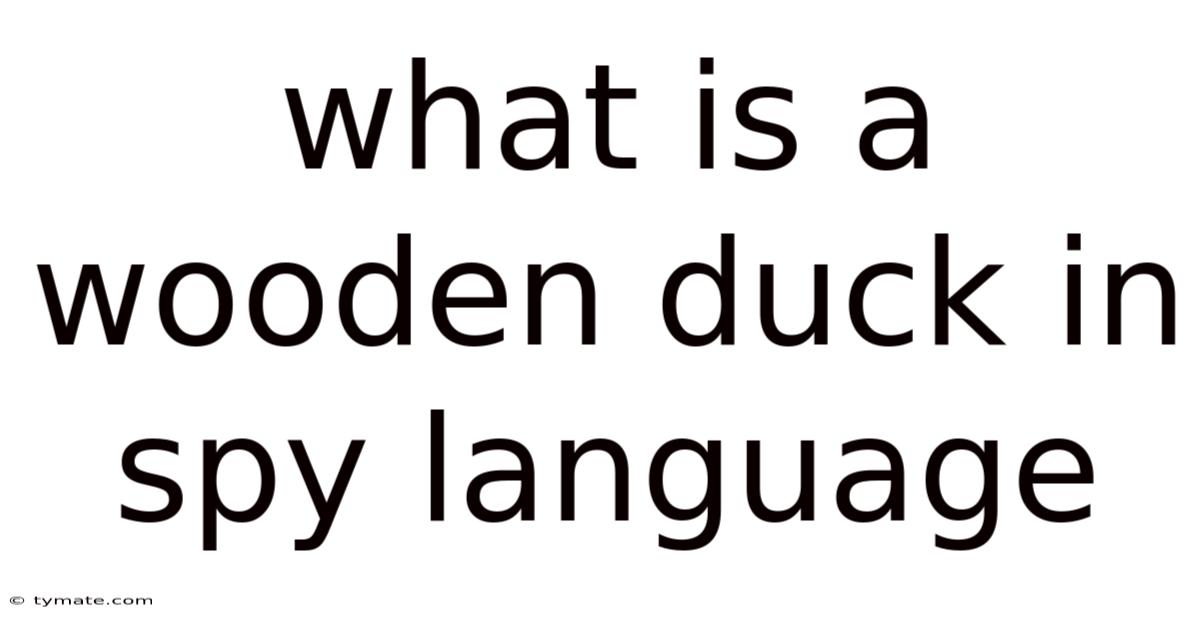 What Is A Wooden Duck In Spy Language