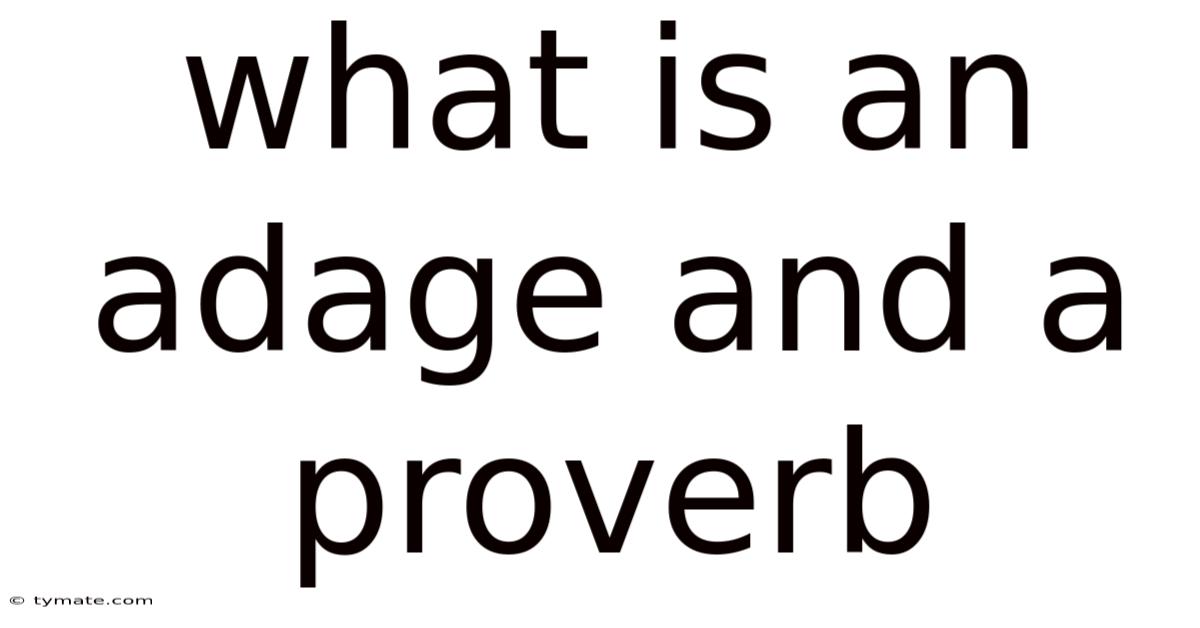 What Is An Adage And A Proverb