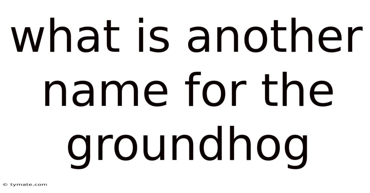 What Is Another Name For The Groundhog