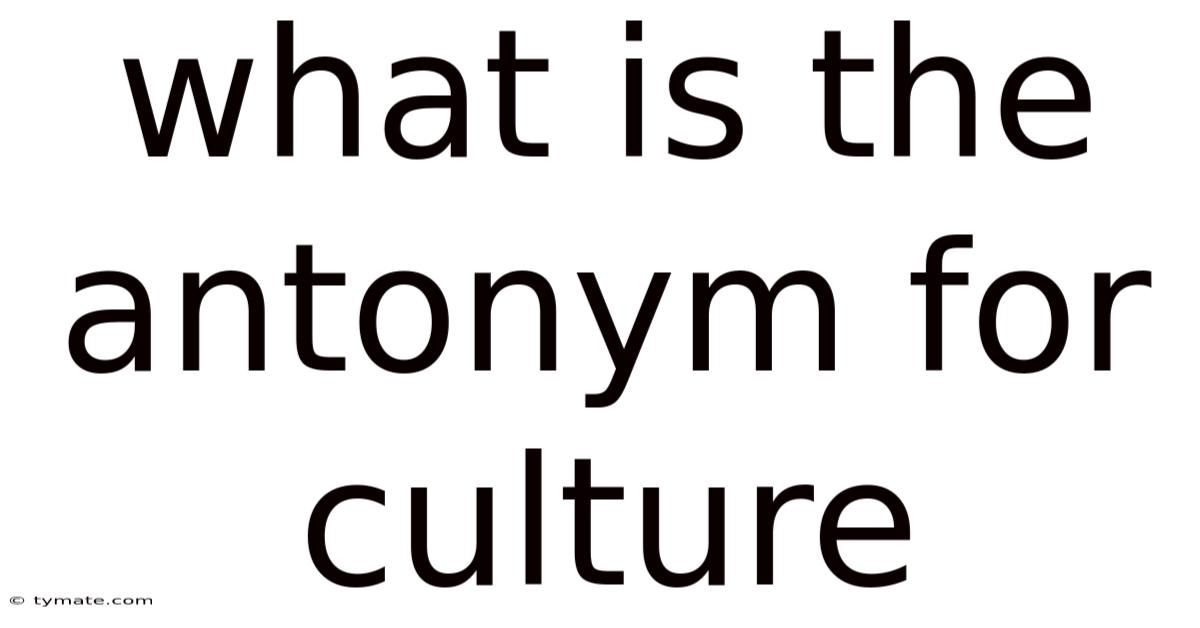 What Is The Antonym For Culture