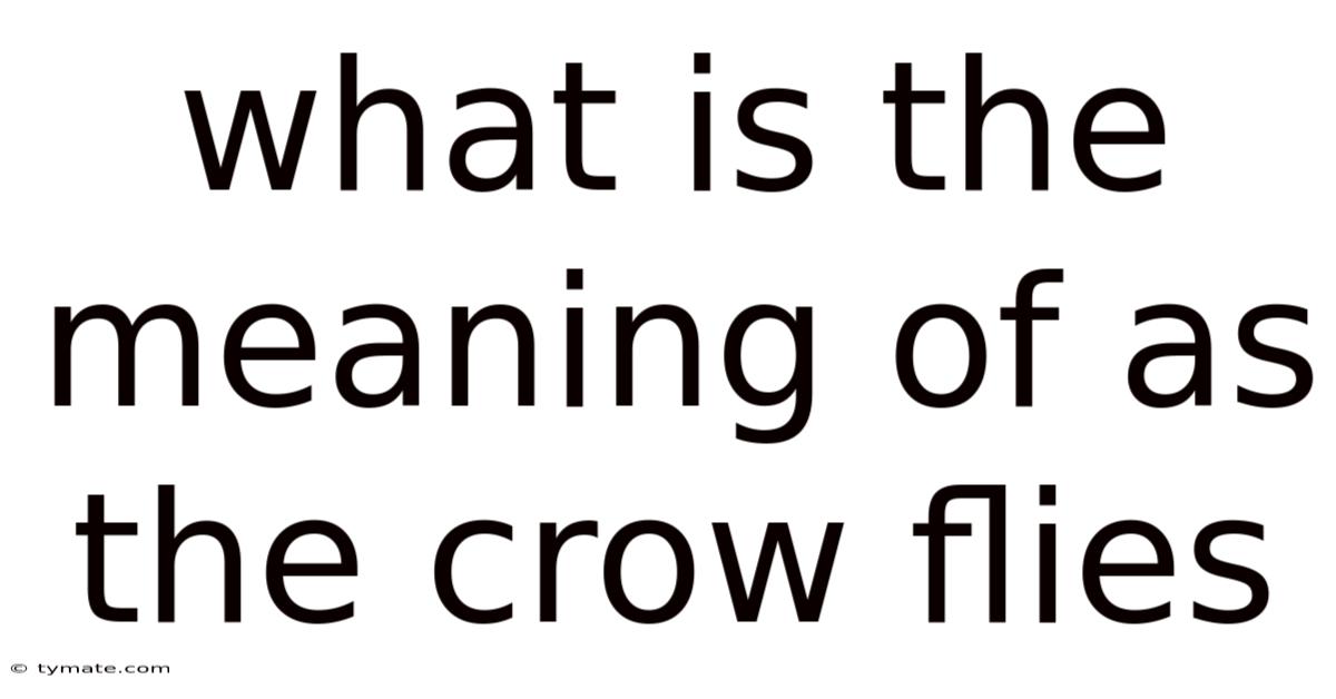 What Is The Meaning Of As The Crow Flies