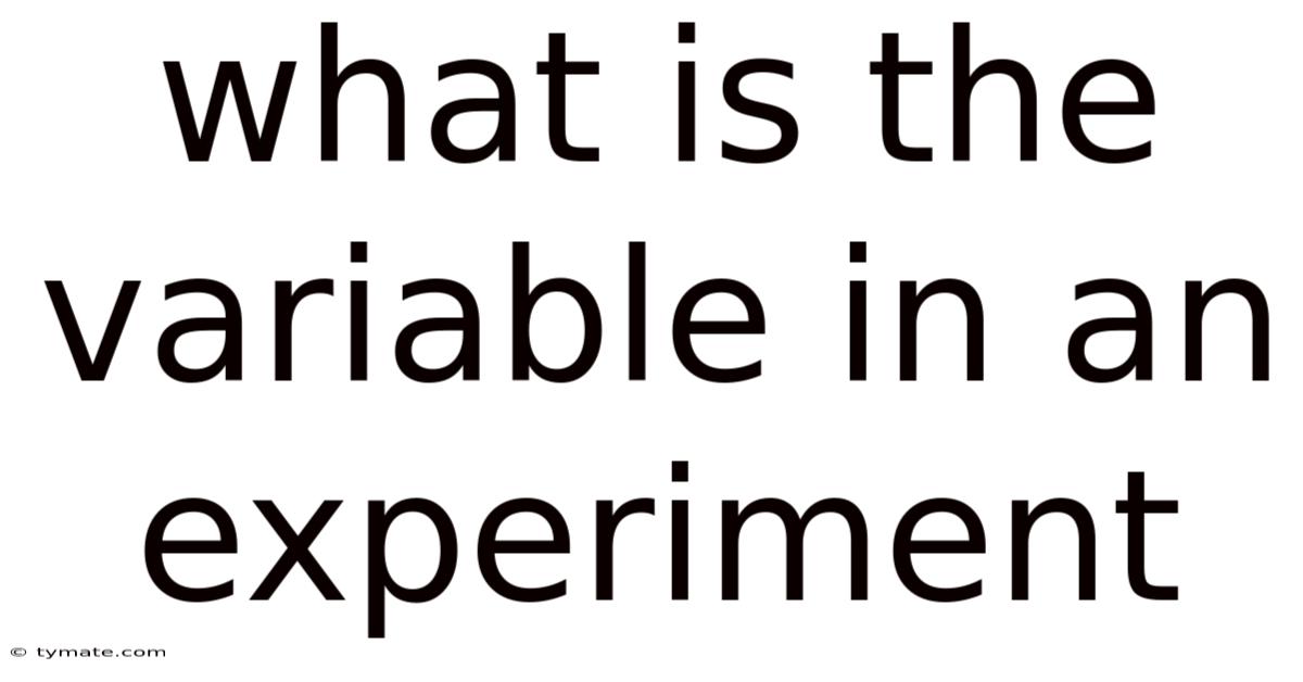 What Is The Variable In An Experiment