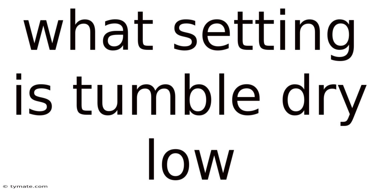 What Setting Is Tumble Dry Low