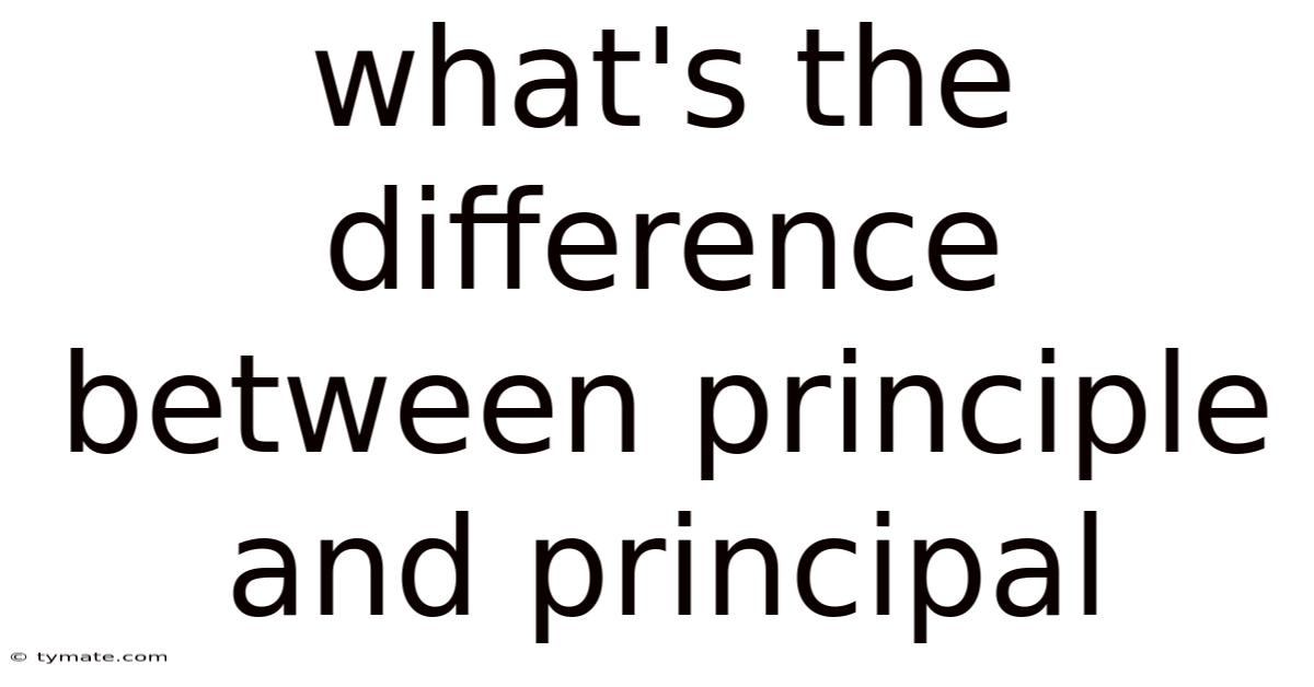 What's The Difference Between Principle And Principal