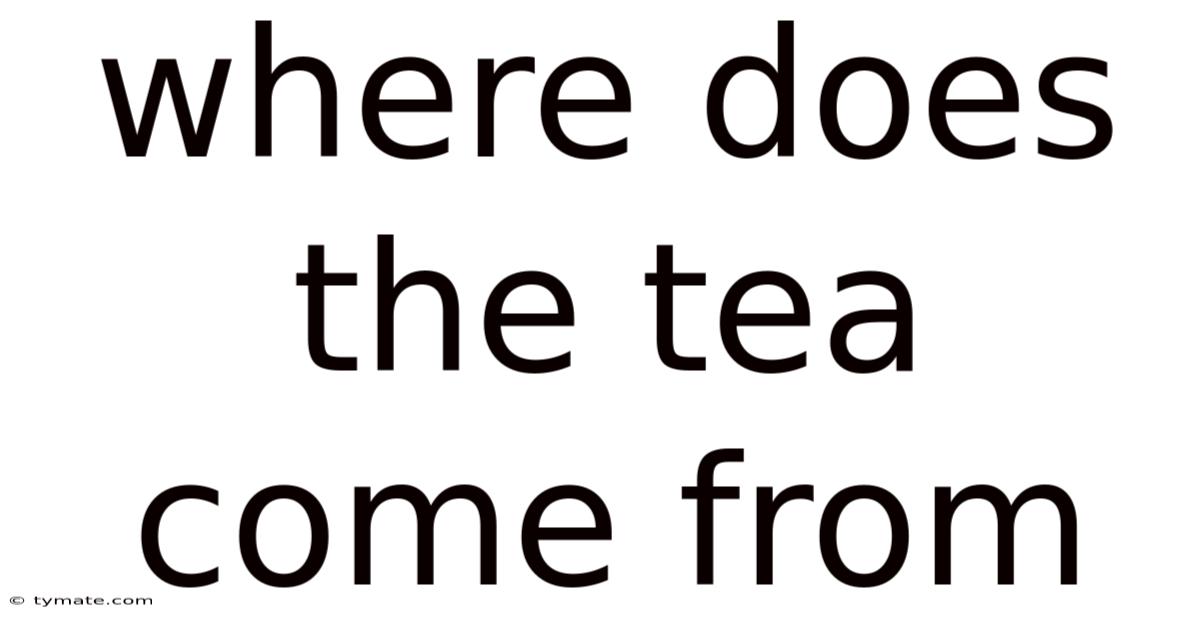 Where Does The Tea Come From