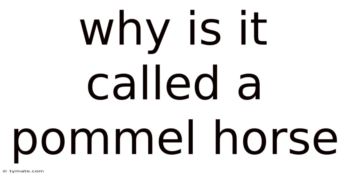 Why Is It Called A Pommel Horse
